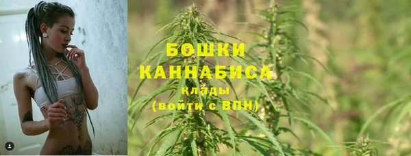 прущие грибы Вяземский