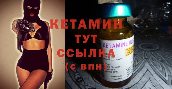 стаф Вязьма