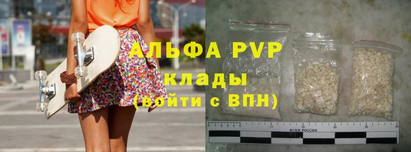 прущие грибы Вяземский
