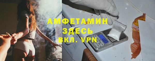 прущие грибы Вяземский