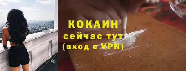 прущие грибы Вяземский