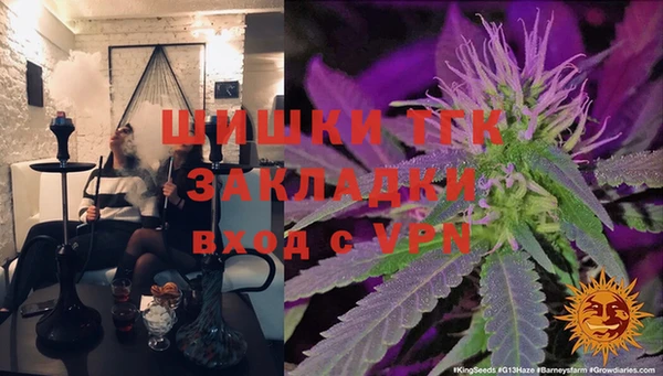 прущие грибы Вяземский