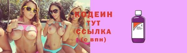 стаф Вязьма