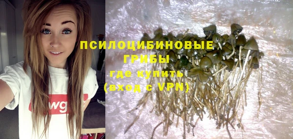 крисы Вязники