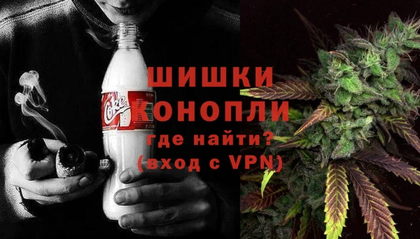 прущие грибы Вяземский