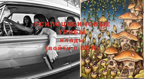 стаф Вязьма