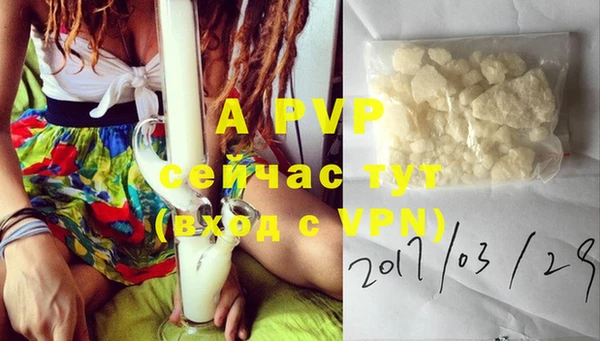 прущие грибы Вяземский