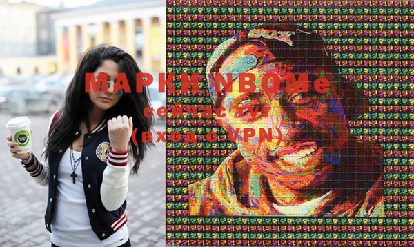 прущие грибы Вяземский