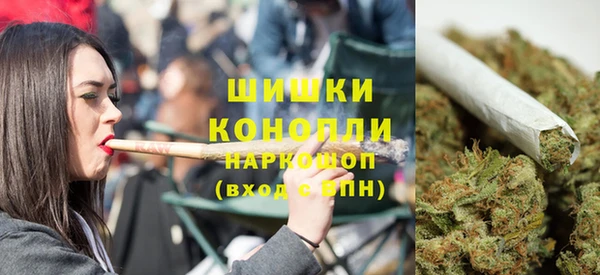прущие грибы Вяземский