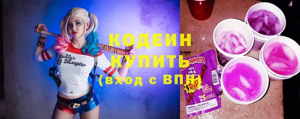 прущие грибы Вяземский