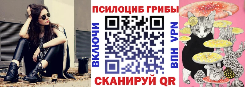 сайты даркнета наркотические препараты  Щёлково  blacksprut как войти  Галлюциногенные грибы мухоморы  хочу наркоту 